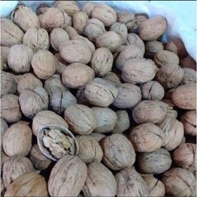 Dilek Kuruyemiş 5 kg Kabuklu Ceviz