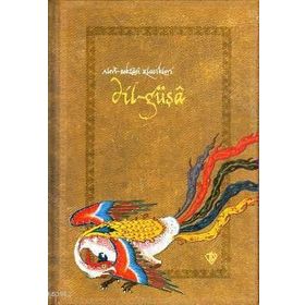 Dilgüşa - Abdurrahman Güzel