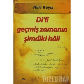 DI'LI GEÇMİŞ ZAMANIN ŞİMDİKİ HALI - NURI KAYIŞ