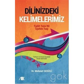 Dilinizdeki Kelimelerimiz - Mehmet Gedizli