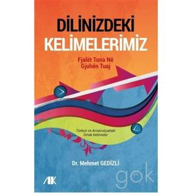 Dilinizdeki Kelimelerimiz - Mehmet Gedizli