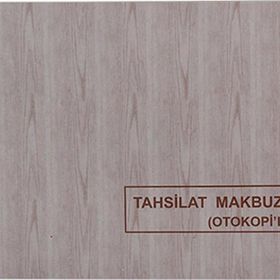 Dilman 2-50 4015 2 Nüsha Otokopili Tahsilat Makbuzu