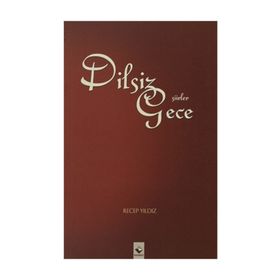 DILSIZ GECE - RECEP YILDIZ