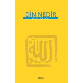DIN NEDIR - LEV NIKOLAYEVIÇ TOLSTOY
