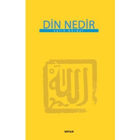 DIN NEDIR - LEV NIKOLAYEVIÇ TOLSTOY