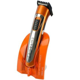 Dingling RD-607 Tıraş Makinesi
