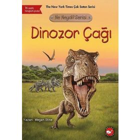Dinozor Çağı - Ne Neydi? Serisi - Megan Stine