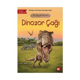 Dinozor Çağı - Ne Neydi? Serisi - Megan Stine