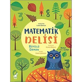 Dinozor Çocuk Matematik Delisi - Büyülü Orman