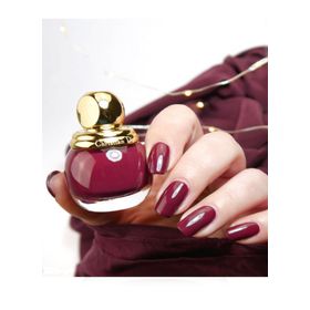 Dior Diorific Vernis 890 Audace Oje