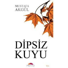 Dipsiz Kuyu - Mustafa Akgül