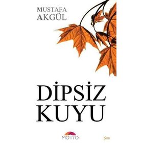 DIPSIZ KUYU ORTA DOĞU VE TÜRKİYE - TUNCER TOPUR