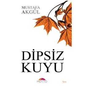 DIPSIZ KUYU ORTA DOĞU VE TÜRKİYE - TUNCER TOPUR
