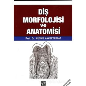 DIŞ MORFOLOJISI VE ANATOMISI - HÜSNÜ YAVUZYILMAZ