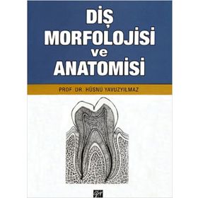 DIŞ MORFOLOJISI VE ANATOMISI - HÜSNÜ YAVUZYILMAZ