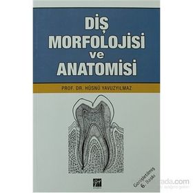 DIŞ MORFOLOJISI VE ANATOMISI - HÜSNÜ YAVUZYILMAZ