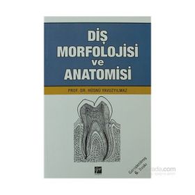 DIŞ MORFOLOJISI VE ANATOMISI - HÜSNÜ YAVUZYILMAZ