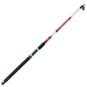 Discovery Dft Dynamic 300 cm 100-150 gr Olta Kamışı
