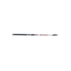 Discovery Dft Dynamic 300 cm 100-150 gr Olta Kamışı