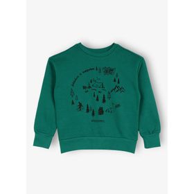 Discovery Expedition D3WB-SWT15 Yeşil Erkek Çocuk Sweatshirt