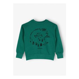 Discovery Expedition D3WB-SWT15 Yeşil Erkek Çocuk Sweatshirt