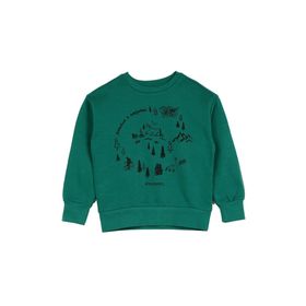 Discovery Expedition D3WB-SWT15 Yeşil Erkek Çocuk Sweatshirt