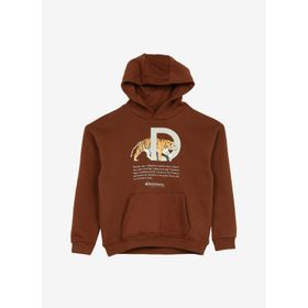 Discovery Expedition D3WB-SWT23 Kahve Kapüşonlu Oversize Baskılı Erkek Çocuk Sweatshirt