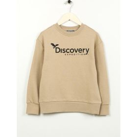 Discovery Expedition D3WB-SWT29 Baskılı Erkek Bej Sweatshirt