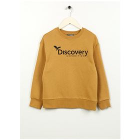 Discovery Expedition D3WB-SWT29 Hardal Bisiklet Yaka Oversize Baskılı Erkek Çocuk Sweatshirt