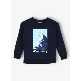 Discovery Expedition D3WB-SWT35 Lacivert Baskılı Erkek Sweatshirt