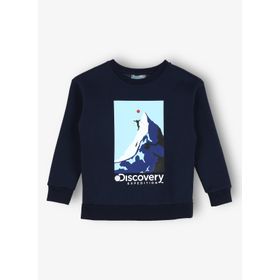 Discovery Expedition D3WB-SWT35 Lacivert Baskılı Erkek Sweatshirt