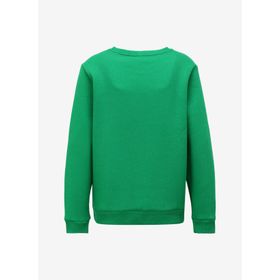 Discovery Expedition D3WL-SWT19 Yeşil Bisiklet Yaka Baskılı Kadın Sweatshirt