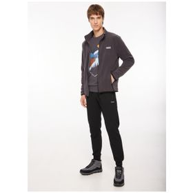 Discovery Expedition D3WM-SWT2 Antrasit Kapüşonlu Polar Erkek Sweatshirt