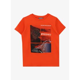 Discovery Expedition D4SG-TST3105 Turuncu Baskılı Kadın T-Shirt