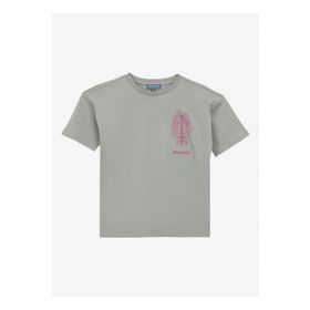 Discovery Expedition D4SG-TST3106 Gri Baskılı Kadın T-Shirt