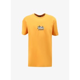 Discovery Expedition D4SM-TST3258 Turuncu Bisiklet Yaka Relaxed Fit Baskılı Erkek T-Shirt