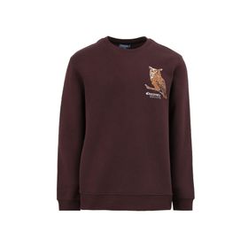 Discovery Expedition D4WM-SWT3078 Kahve Bisiklet Relaxed Nakışlı Erkek Sweatshirt