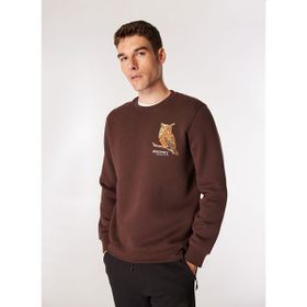 Discovery Expedition D4WM-SWT3078 Kahve Bisiklet Relaxed Nakışlı Erkek Sweatshirt