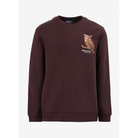 Discovery Expedition D4WM-SWT3078 Kahve Bisiklet Relaxed Nakışlı Erkek Sweatshirt