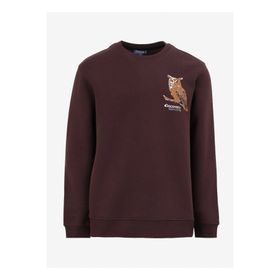 Discovery Expedition D4WM-SWT3078 Kahve Bisiklet Relaxed Nakışlı Erkek Sweatshirt