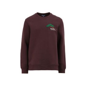 Discovery Expedition D4WM-SWT3276 Kahve Bisiklet Relaxed Nakışlı Erkek Sweatshirt