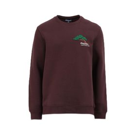 Discovery Expedition D4WM-SWT3276 Kahve Bisiklet Relaxed Nakışlı Erkek Sweatshirt