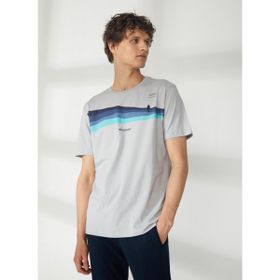 Discovery HARDAP Expedition Bisiklet Yaka Baskılı Gri Erkek T-Shirt