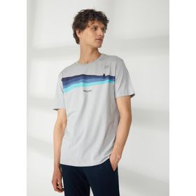 Discovery HARDAP Expedition Bisiklet Yaka Baskılı Gri Erkek T-Shirt