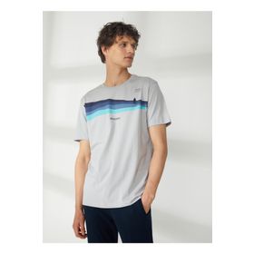Discovery HARDAP Expedition Bisiklet Yaka Baskılı Gri Erkek T-Shirt