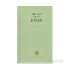 DIVAN-I İLAHİYAT ELMALILI VAHIB ÜMMİ HALVETI - AHMET ÖGKE;MUSTAFA TATCI
