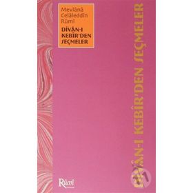 DIVAN-I KEBIR'DEN SEÇMELER - BEKIR ŞAHİN