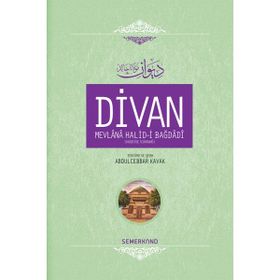 DIVAN MEVLÂNÂ HALID-I BAGDÂDÎ (CILTLI) - MEVLANA HALID-I BAĞDADI