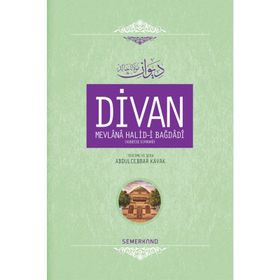 DIVAN MEVLÂNÂ HALID-I BAGDÂDÎ (CILTLI) - MEVLANA HALID-I BAĞDADI