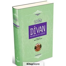 DIVAN MEVLÂNÂ HALID-I BAGDÂDÎ (CILTLI) - MEVLANA HALID-I BAĞDADI